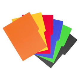 FOLDER COLOR FOSFORESCENTE 